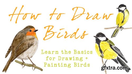How To Draw Birds - Basic Techniques For Drawing & Painting Birds