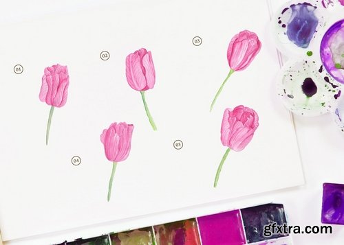 15 Watercolor Pink Tulip Flower Illustration