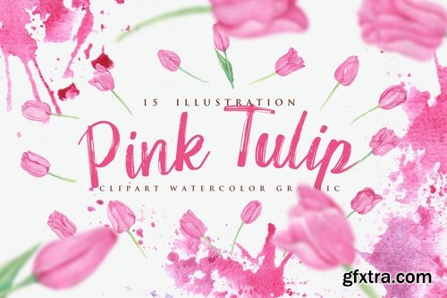 15 Watercolor Pink Tulip Flower Illustration