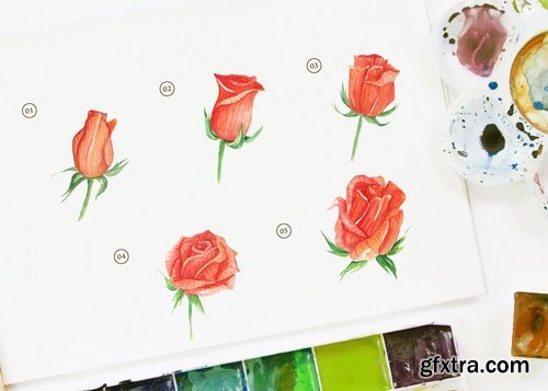 15 Watercolor Rose Orange Flower Illustration