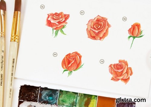 15 Watercolor Rose Orange Flower Illustration
