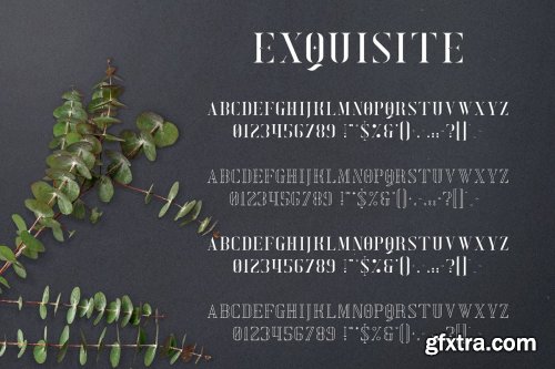 CreativeMarket - Exquisite - Serif Typeface 4 Styles 3576691