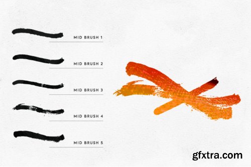 Illustrator Paint Brushes - 1st Edition