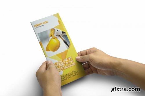 Trifold Brochure