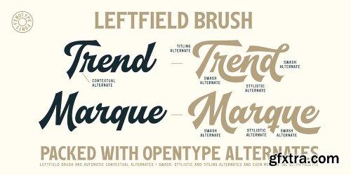 Leftfield Font Family - 12 Fonts