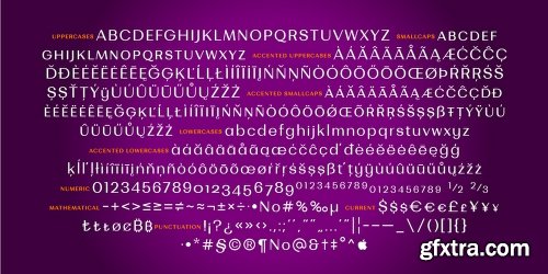 Bodrum Sans Font Family - 20 Fonts