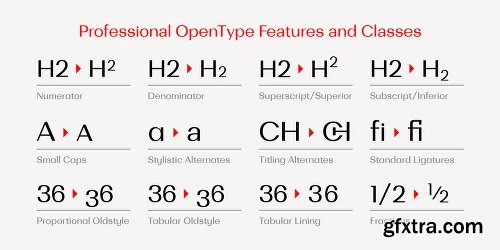 Bodrum Sans Font Family - 20 Fonts