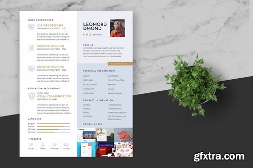 Clean Graphic Designer Art Director Resume