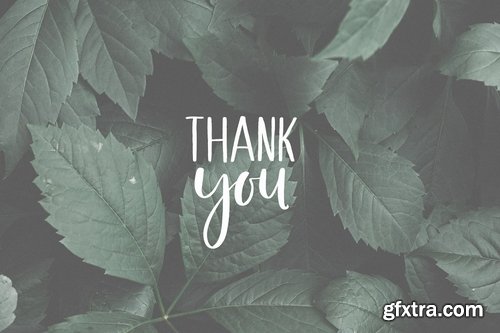 CM - Melloner Fonts 3658926