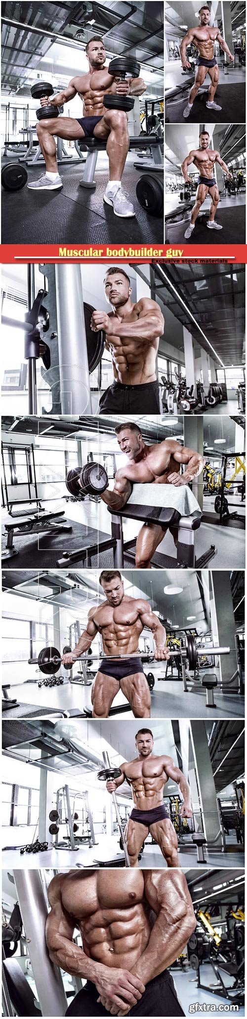 Muscular bodybuilder guy doing exercises with dumbbell