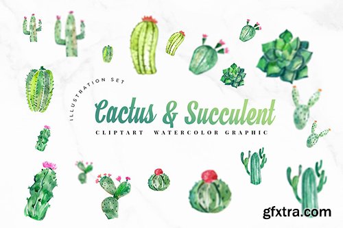 15 Watercolor Cactus Set Illustration