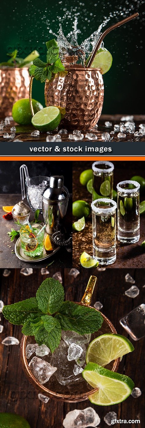 Alcoholic cocktail with lemon a lime and mint