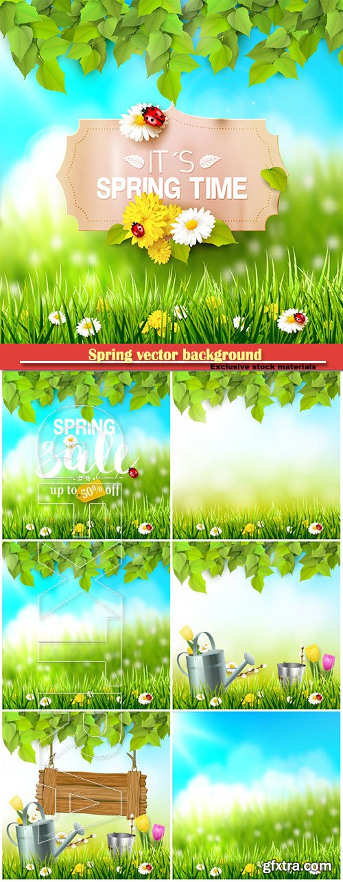 Spring vector background with green grass and flowers