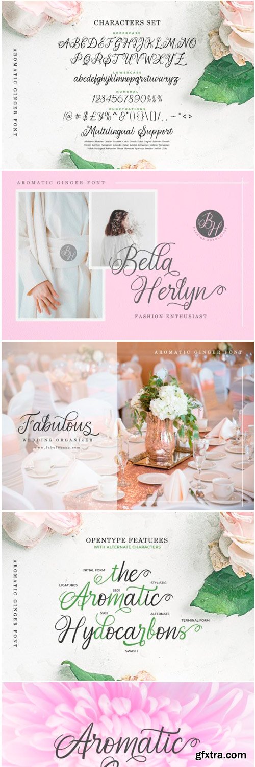 Aromatic Ginger Font