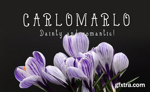 200+ Fonts Collection 200+ Fonts Collection