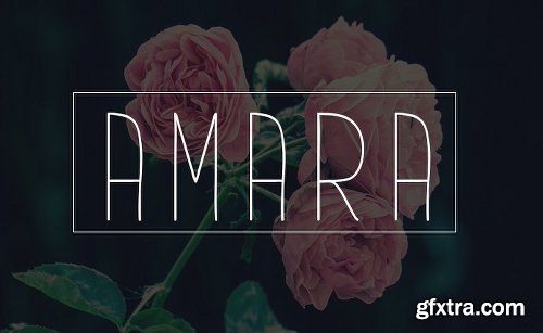 200+ Fonts Collection 200+ Fonts Collection