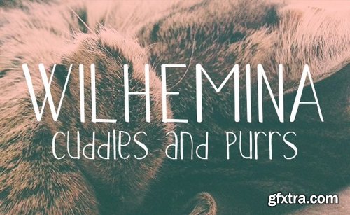 200+ Fonts Collection 200+ Fonts Collection