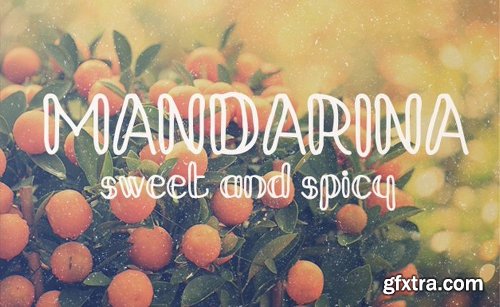 200+ Fonts Collection 200+ Fonts Collection