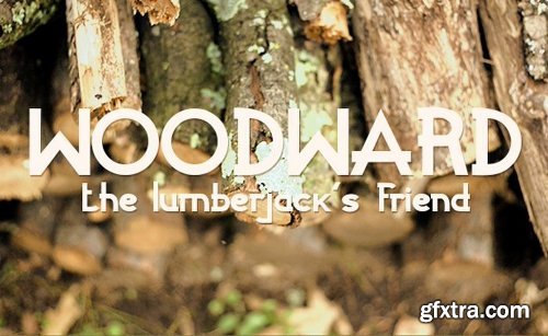 200+ Fonts Collection 200+ Fonts Collection