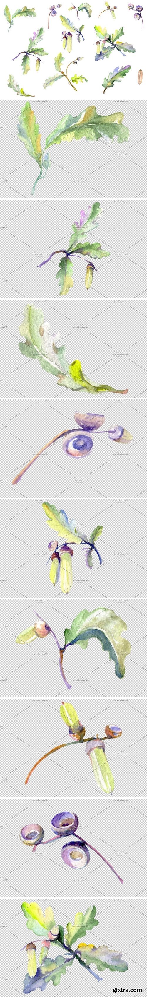 CM - Acorn Watercolor png 3681363