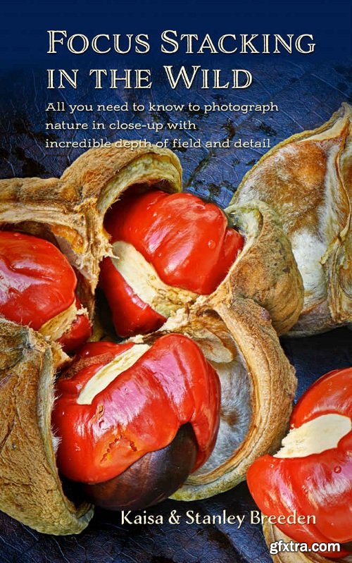 Focus Stacking in the Wild: All you need to know to photograph nature in close-up with incredible depth and detail