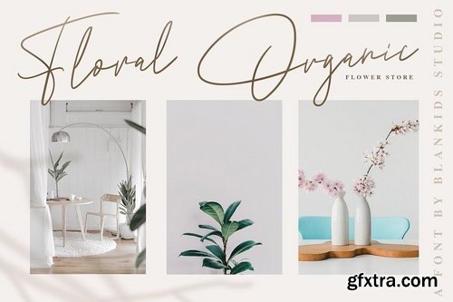 Andrea Belarosa Font