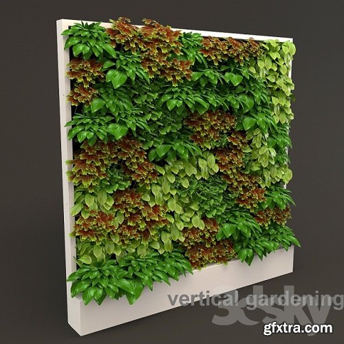 Vertical gardening 3