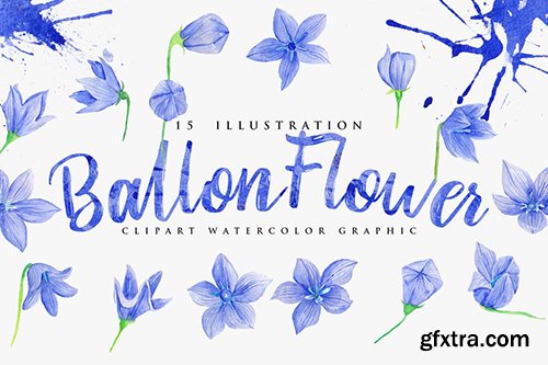 15 Watercolor Ballon Flower Illustration 15 Watercolor Ballon Flower Illustration