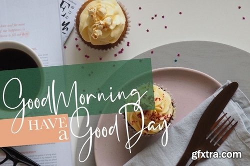 Gistesy Signature Collection