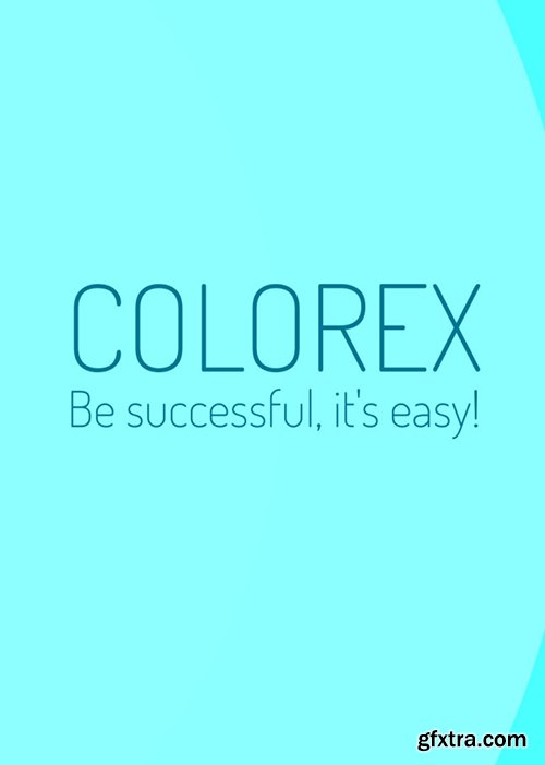 Web Design After Effects Intro 46146