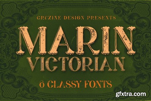 CreativeMarket Vintage Bundle 249 Fonts &amp; 414 Logos 3264710