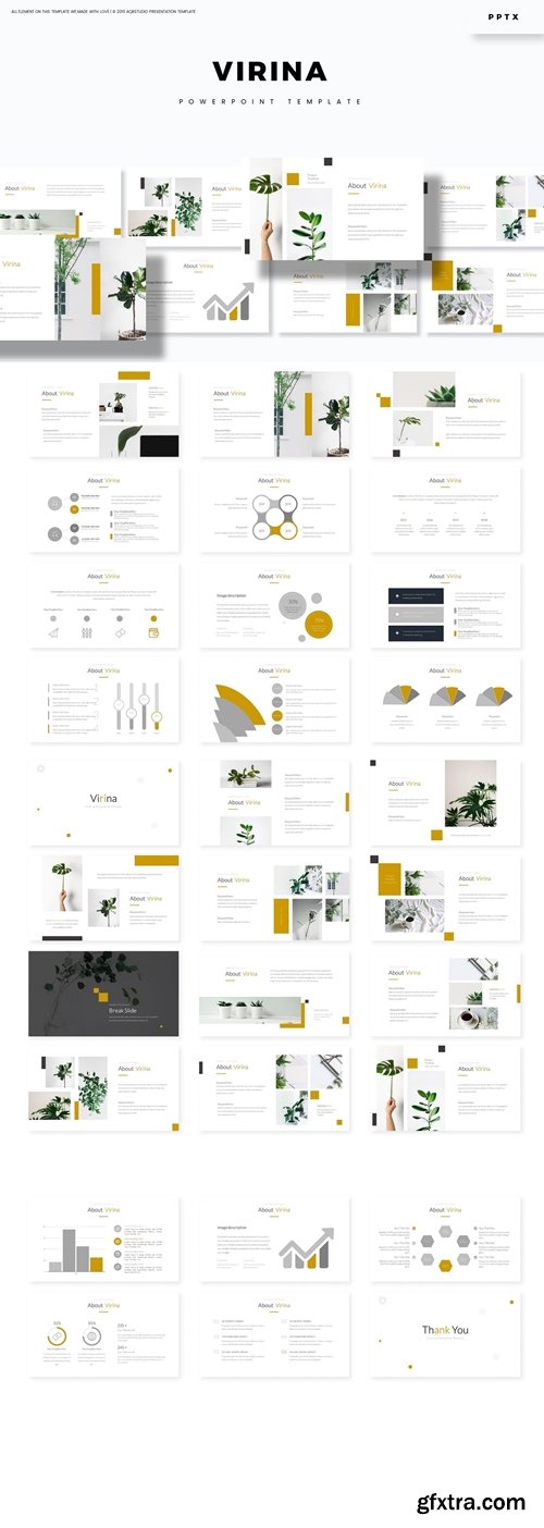 Virina - Powerpoint, Keynote, Google Slides Templates