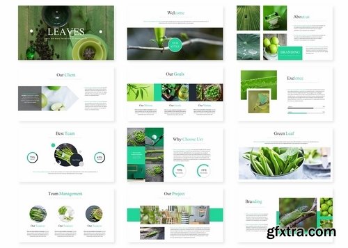 Leaves - Powerpoint Google Slides and Keynote Templates