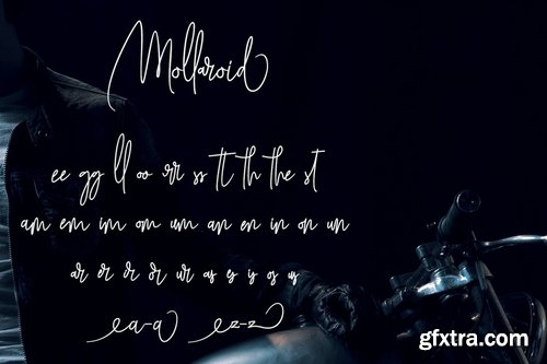 Mollaroid ? Signature Font