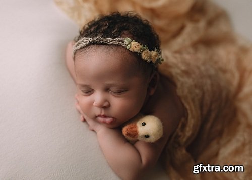 Greater than Gatsby - Newborn Collection Lightroom &amp; ACR Presets