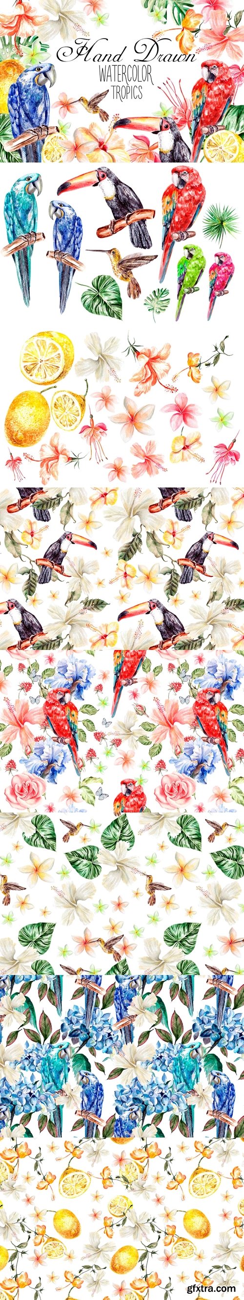 CM - Hand Drawn watercolor TROPICS 614023