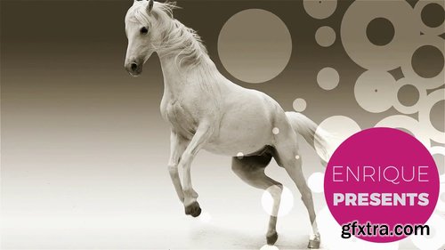 Pattern Slice Slideshow 218546