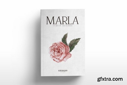 CM - Recoba Font Family 3741861