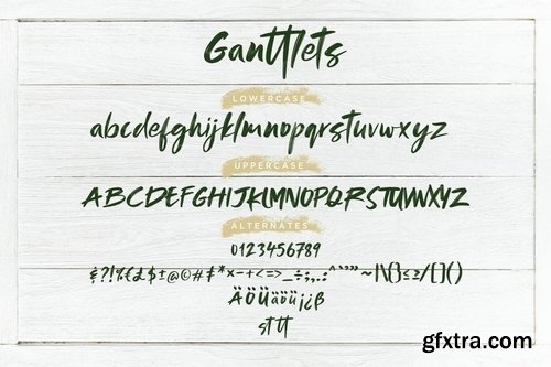Ganttlets Brush Script