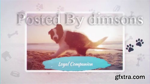 Pet Slideshow 218115