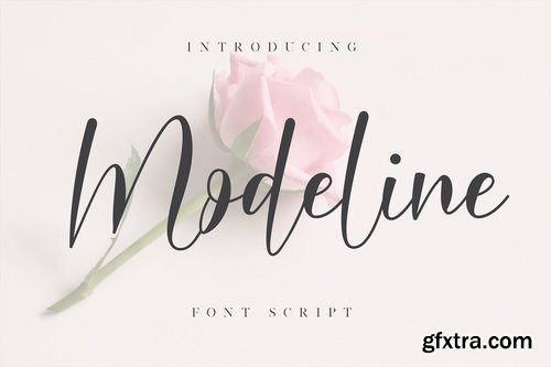 Modeline Font