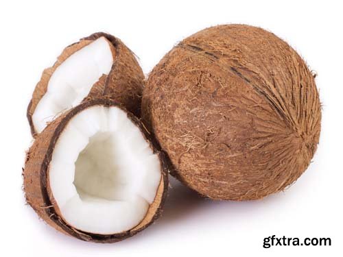 Photo - Coconut Isolated - 8xJPGs