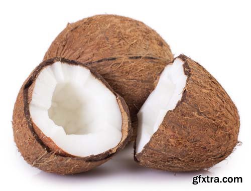 Photo - Coconut Isolated - 8xJPGs