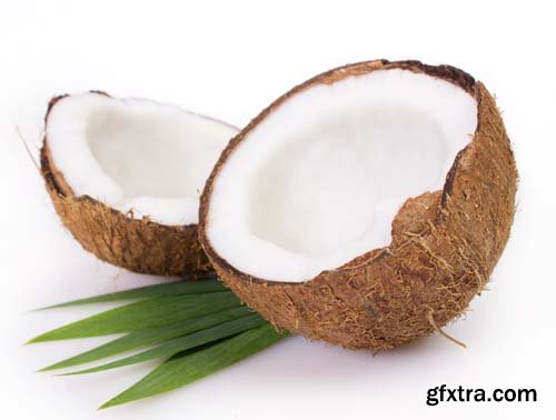 Photo - Coconut Isolated - 8xJPGs