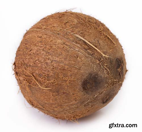 Photo - Coconut Isolated - 8xJPGs