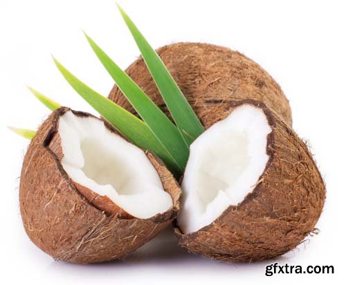 Photo - Coconut Isolated - 8xJPGs