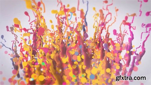 Colorful Reveal Logo 216632