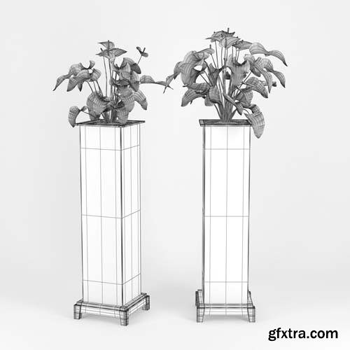 Cgtrader - Anthurium 3D model