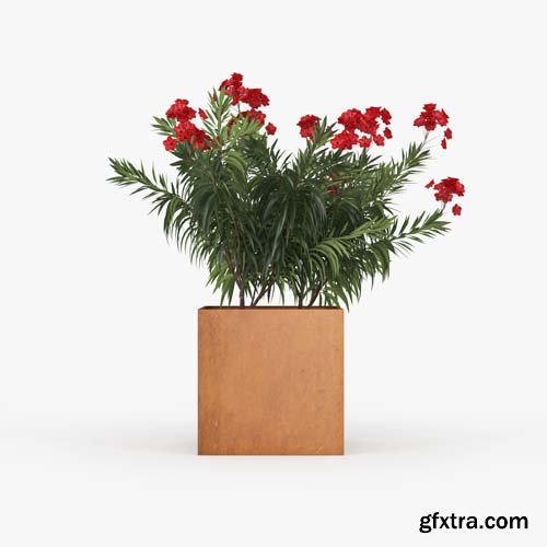 Cgtrader - Flowerbed Nerium Planterworx RANCH TRUE SQUARE 3D model