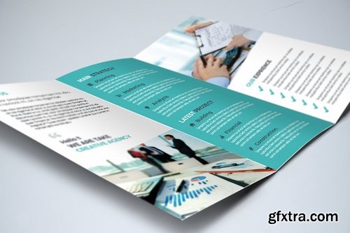 Trifold Brochure